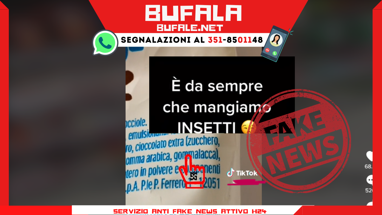 la-fake-news-sugli-schoko-bons-fatti-con-gli-insetti:-cos'e-la-gommalacca