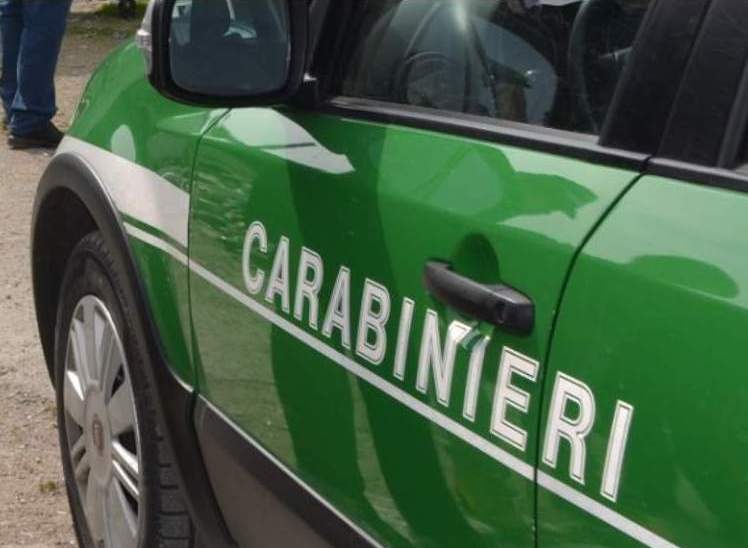 bilancio-delle-attivita-del-2022-dei-carabinieri-forestali-in-provincia-di-avellino-834-persone-denunciate-e-sanzioni-per-oltre-670000-euro.