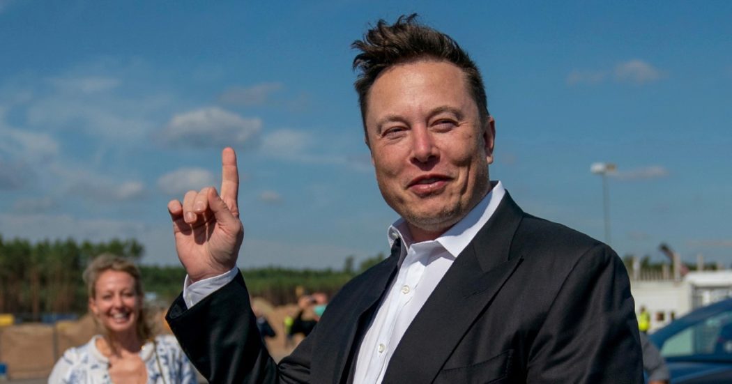 cosa-e-il-logo-del-cane-comparso-su-twitter-al-posto-dell'uccellino.-e-perche-riguarda-musk-–-il-fatto-quotidiano