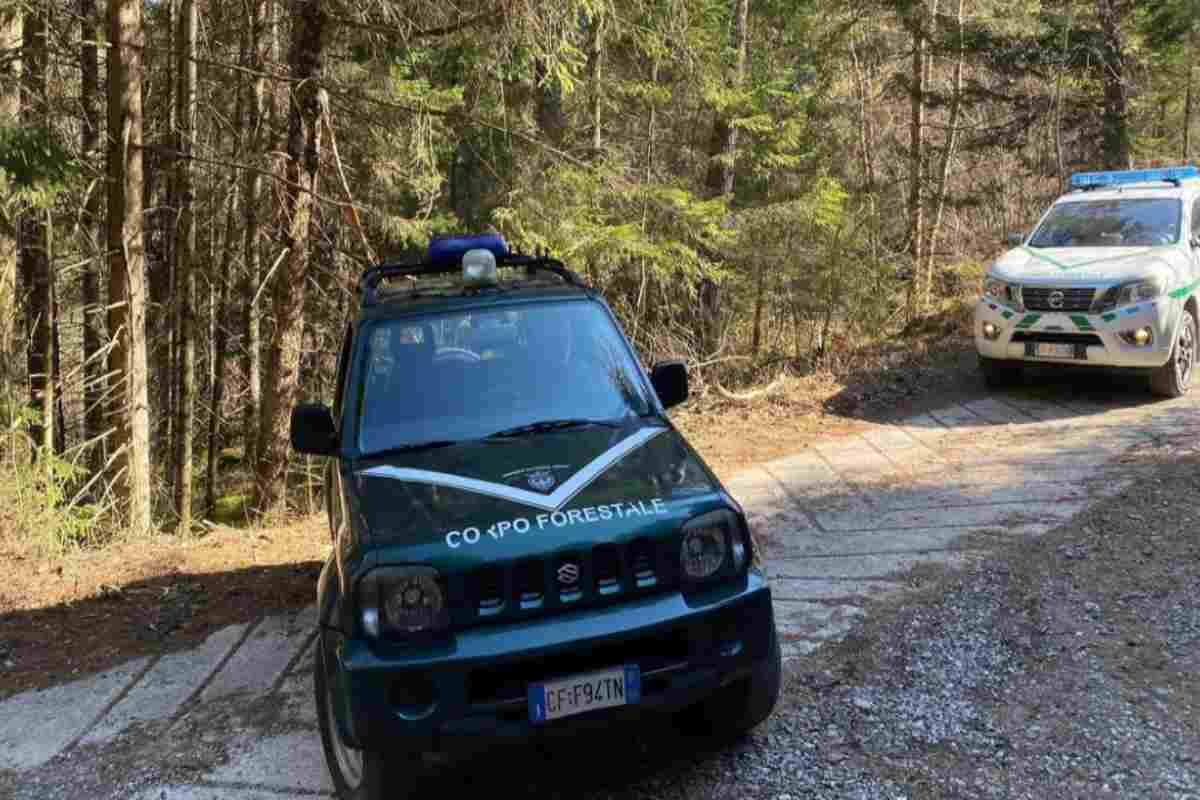 caldes,-runner-trovato-morto-nel-bosco:-forse-aggredito-da-un-orso