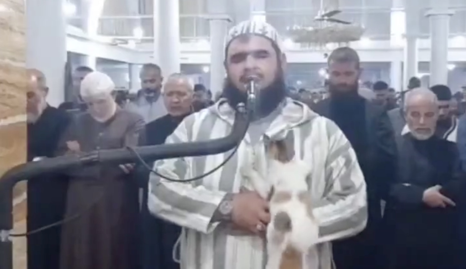 il-gatto-in-cerca-di-attenzioni-dell'imam,-il-fuoriprogramma-in-moschea-nel-bel-mezzo-della-preghiera-–-il-video